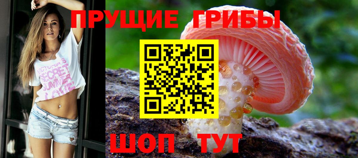 Тимашёвск  Псилоцибиновые грибы мухоморы  Псилоцибиновые грибы MAGIC MUSHROOMS  Вход с VPN 