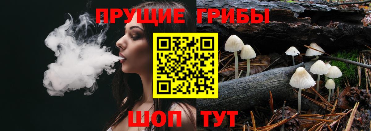Псилоцибиновые грибы Psilocybine cubensis Тимашёвск